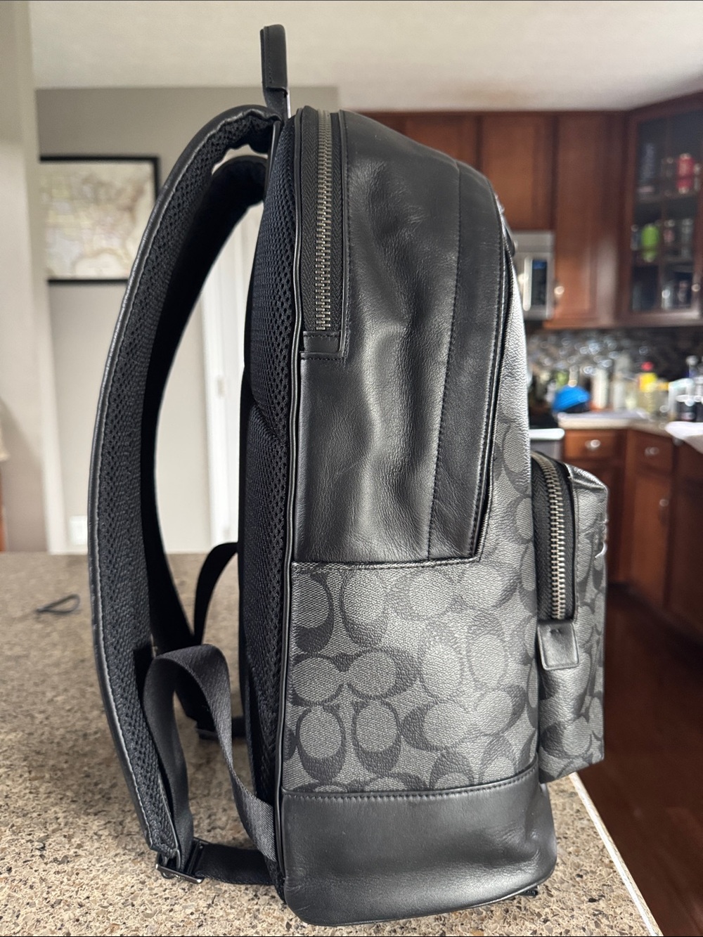 😎Coach Men's Signature Canvas Backpack in Gray !! EUC good condition 😎 - Picture 5 of 13